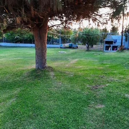 Apartment Anestis Toroni