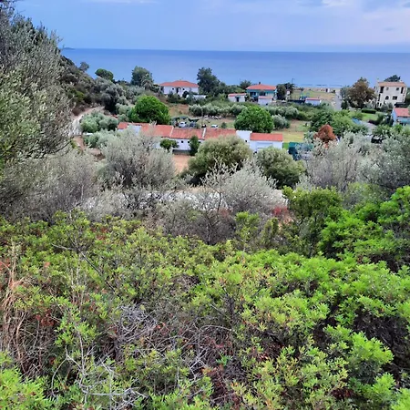 Διαμέρισμα Anestis