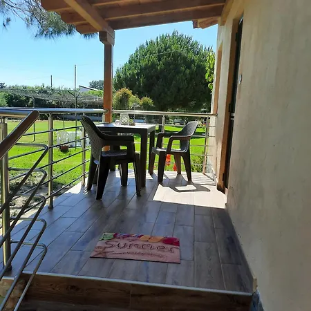 Anestis * Торони