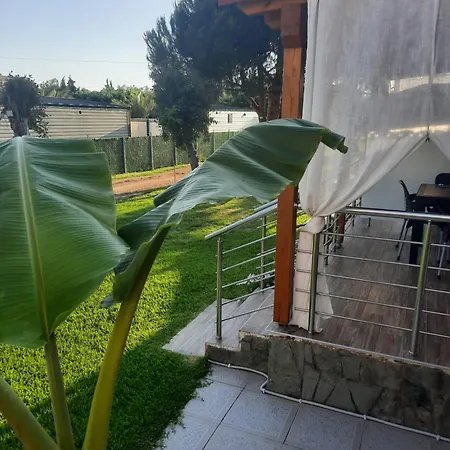 Anestis Toroni